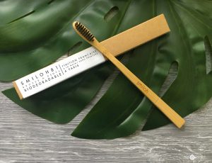 Brosse à dents en bois de bambou naturel