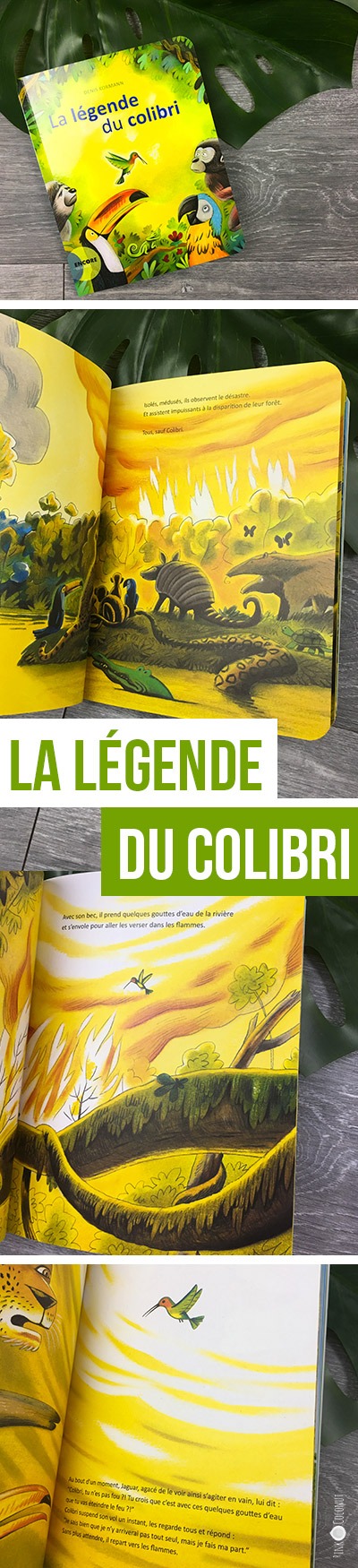 La légende du colibri, plus qu’un conte un vrai mouvement