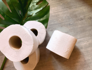 Air pq - le papier toilette qui plante des arbres - ecologique et sans plastique livré à la maison